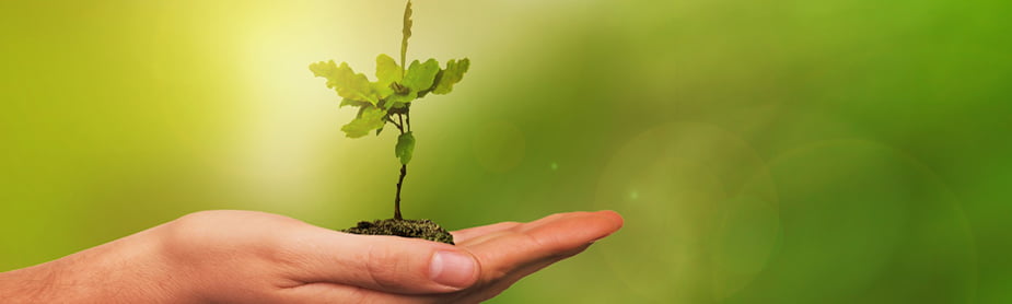 How L&D professionals can get access to funds to support the development of their teams.